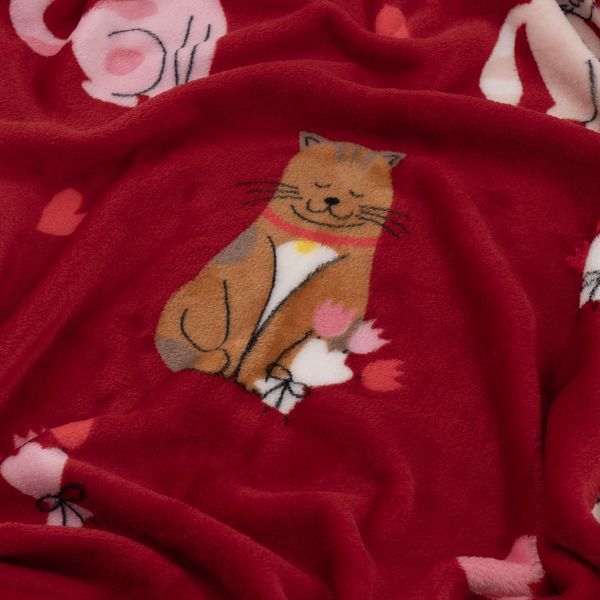 Плед ARDESTO Flannel 160х200см, 100% поліестер, котики з сердечками ART0124PB фото