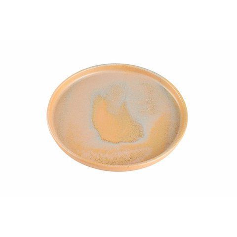 Тарілка пласка з бортом Porland Stoneware Savanna 270 мм 213-18KP27.S фото