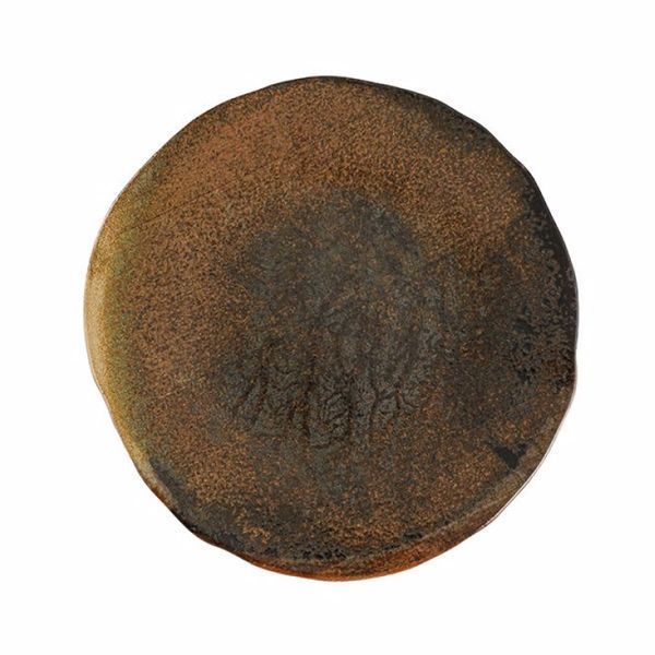 Тарелка круглая Porland Stoneware Genesis 230 мм 213-18DC22.G фото