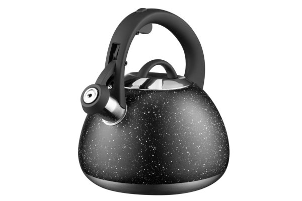 Чайник Gemini, 2.5 л, нержавіюча сталь