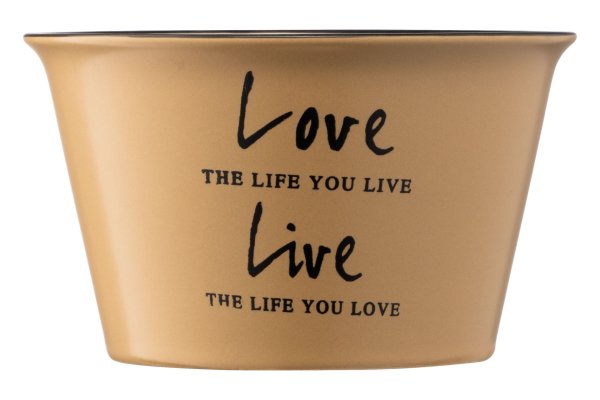 Бульйонниця Ardesto Way of life, 550 мл, кераміка