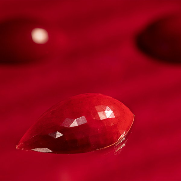 12063 CW Модуль для шоколада