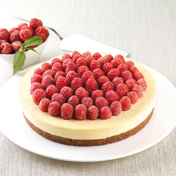 SFT120/C Форма из резины