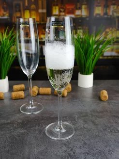 Келихи для шампанського Bohemia Colibri (GASTRO) 220мл/ 6 шт