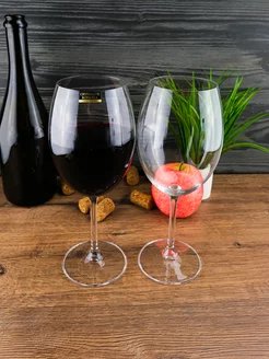Кришталеві келихи для вина Bohemia Colibri (GASTRO) 450 мл 6 штук
