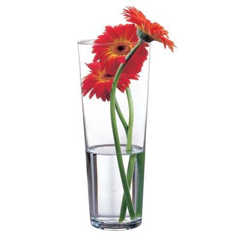 Ваза конус Flora Pasabahce 260мм 