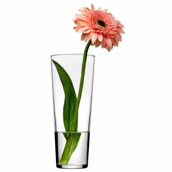 Ваза конус Flora Pasabahce 260мм 