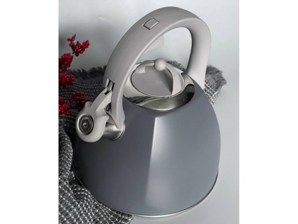 Чайник Ardesto Gemini, 2.5 л, сірий, нержавіюча сталь